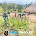 Satgas Yonif 700/WYC Bantu Warga Buka Lahan Perkebunan di Puncak, Wujud Nyata Ketahanan Pangan