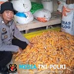 Bintara Penggerak Desa Kayu Ara Bripka Bayu Friatna Menghadiri Panen Jagung 1 Desa 1 Hektar