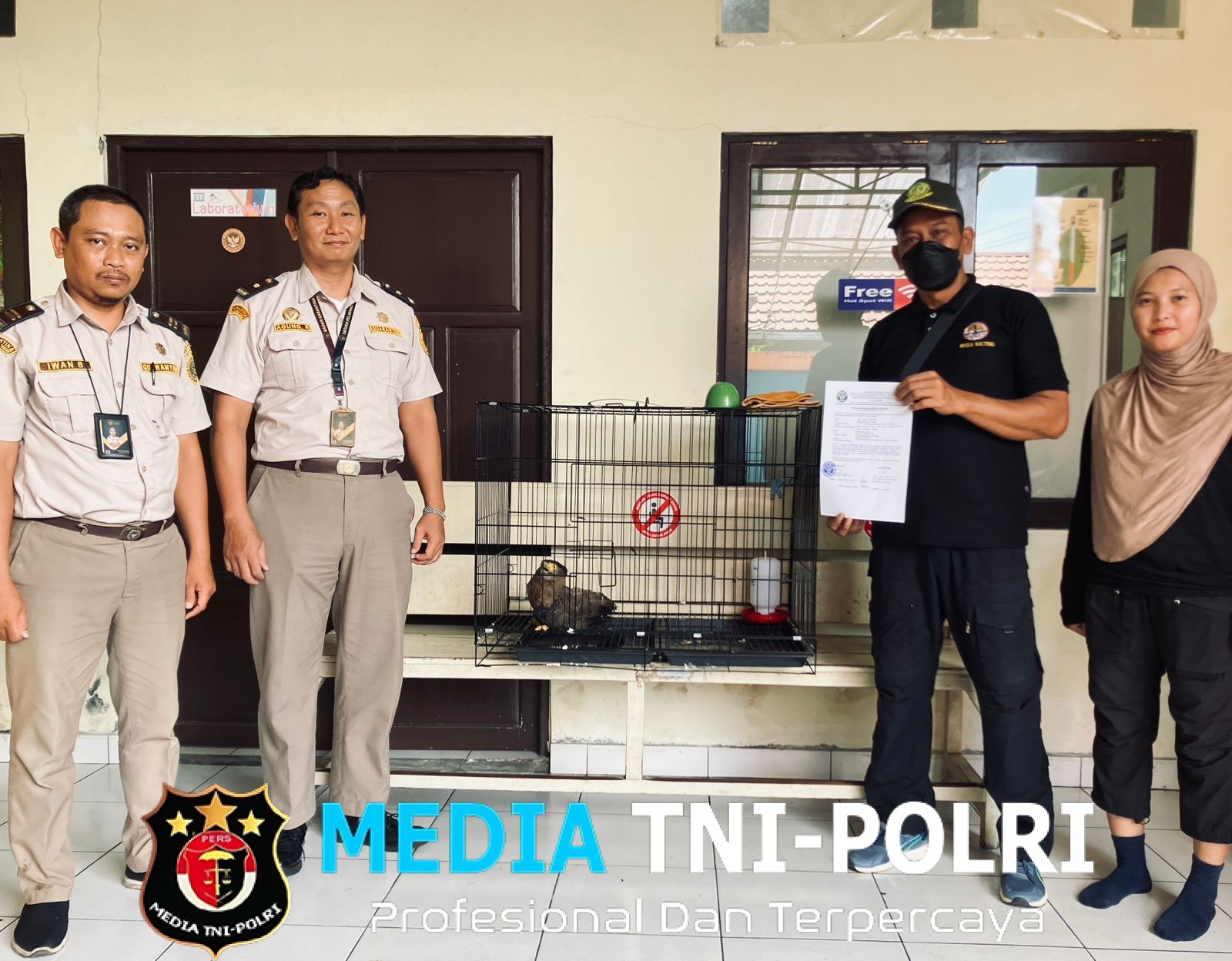 BKSDA Resort Sampit Terima Seekor Elang Ular Bido dari Balai Karantina