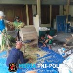 Pastikan Data Produksi Akurat, Babinsa Dampingi Ubinan Padi