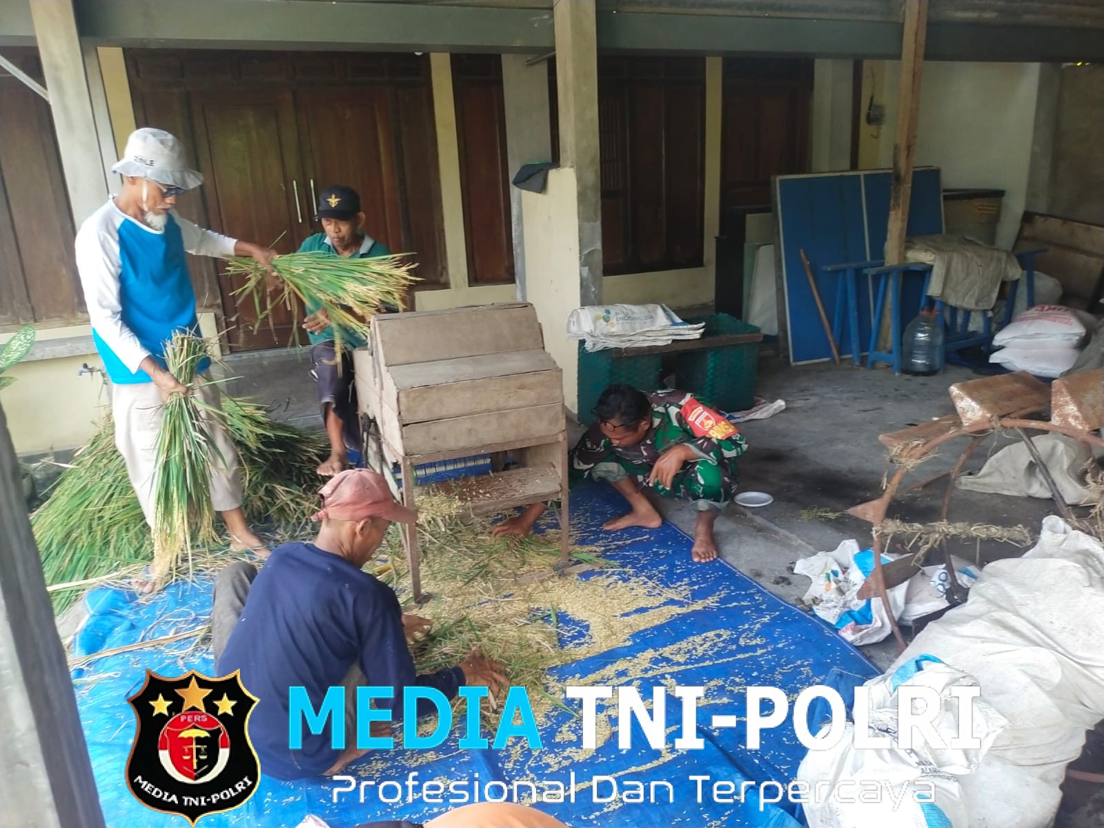 Pastikan Data Produksi Akurat, Babinsa Dampingi Ubinan Padi