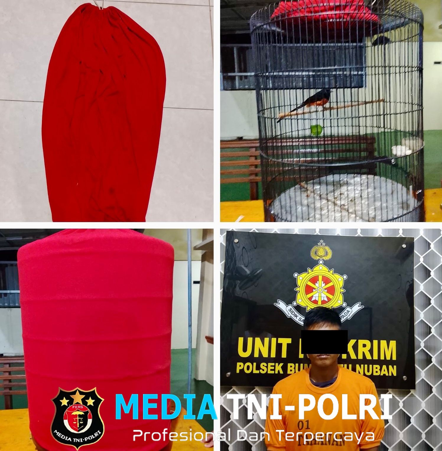 Tekab 308 Polsek Bumi Ratu Nuban Berhasil Meringkus Buronan Pencuri Murai Batu