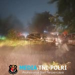 Angin Kencang Tumbangkan Pohon di Jalan Pramuka