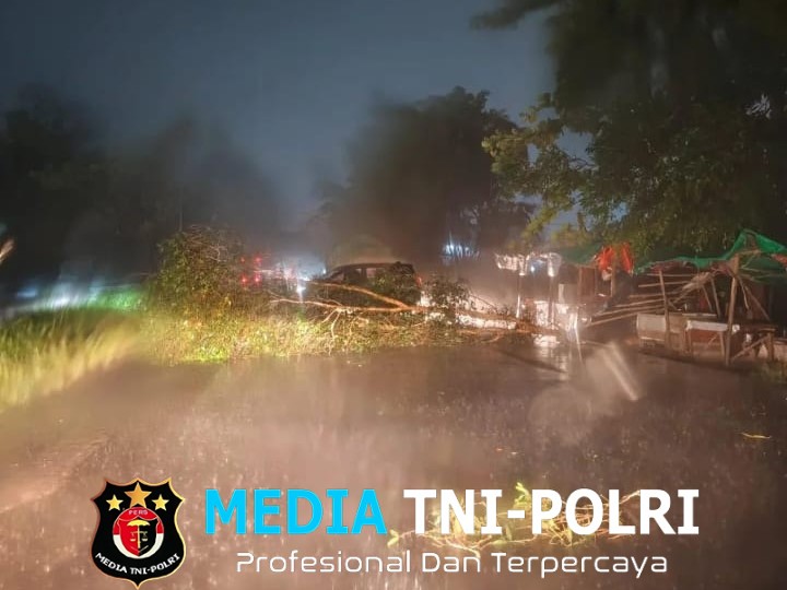 Angin Kencang Tumbangkan Pohon di Jalan Pramuka