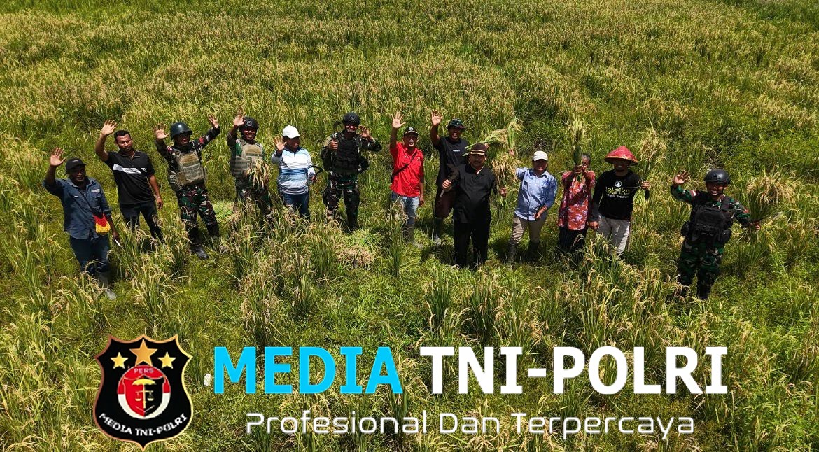 Dukung Ketahanan Pangan, Satgas Pamtas Kewilayahan RI-PNG Yonif 410/Alugoro Panen Raya Padi Bersama Masyarakat