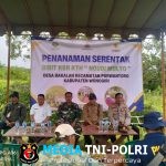 Anggota Koramil 0728-19/Purwantoro Ikut Melestarikan Alam Dengan Tanam Ribuan Batang Pohon Penghijauan