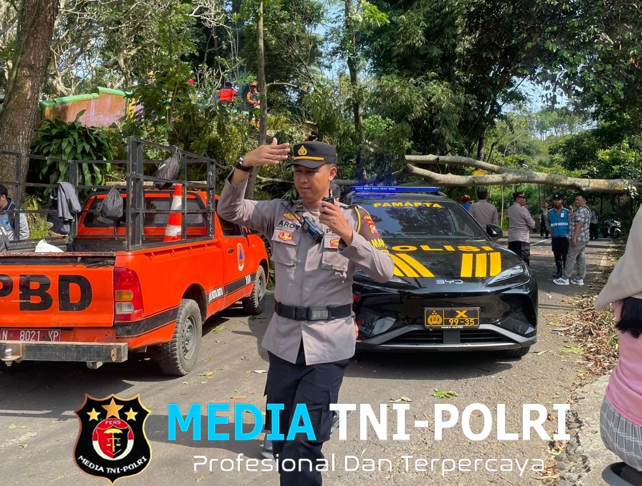 Tim Gabungan Evakuasi Pohon Tumbang yang Tutup Jalan di Batu