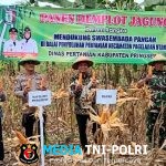 Bupati Pringsewu Riyanto Pamungkas Ngopi Serasi Ke-11 Di Pekon Fajarbaru Pagelaran Utara
