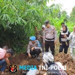 Inafis Polres Tanggamus Rampungkan Identifikasi Mayat Pria di Pasar Madang, Polsek Kota Agung Lanjutkan Pemakaman