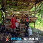 Melalui Komsos Babinsa Semperiuk A Beri Motivasi Dan Dukungan Kepada Peternak Kambing di Wilayah Binaan