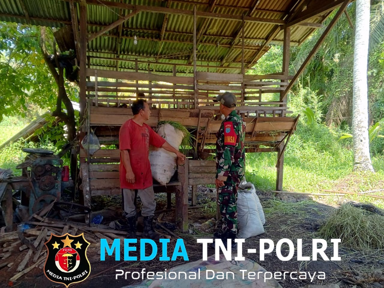 Melalui Komsos Babinsa Semperiuk A Beri Motivasi Dan Dukungan Kepada Peternak Kambing di Wilayah Binaan