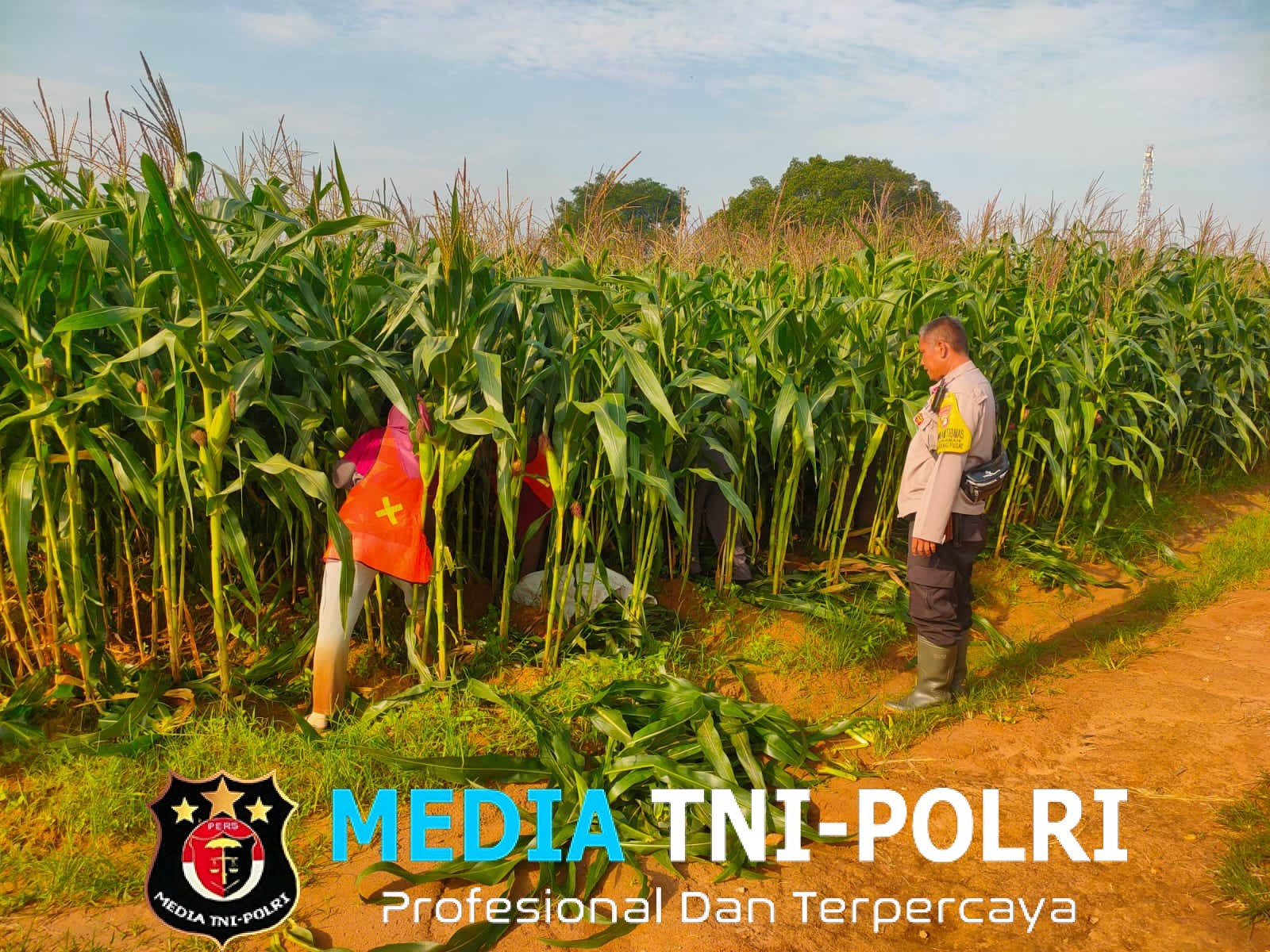 Kapolsek Cikarang Pusat Pantau Langsung Perkembangan Tanaman Jagung di Lahan Ketahanan Pangan