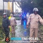 Babinsa, Bhabinkamtibmas dan BPBD Sigap Evakuasi Pohon Tumbang di Jalan Boyolali–Jatinom