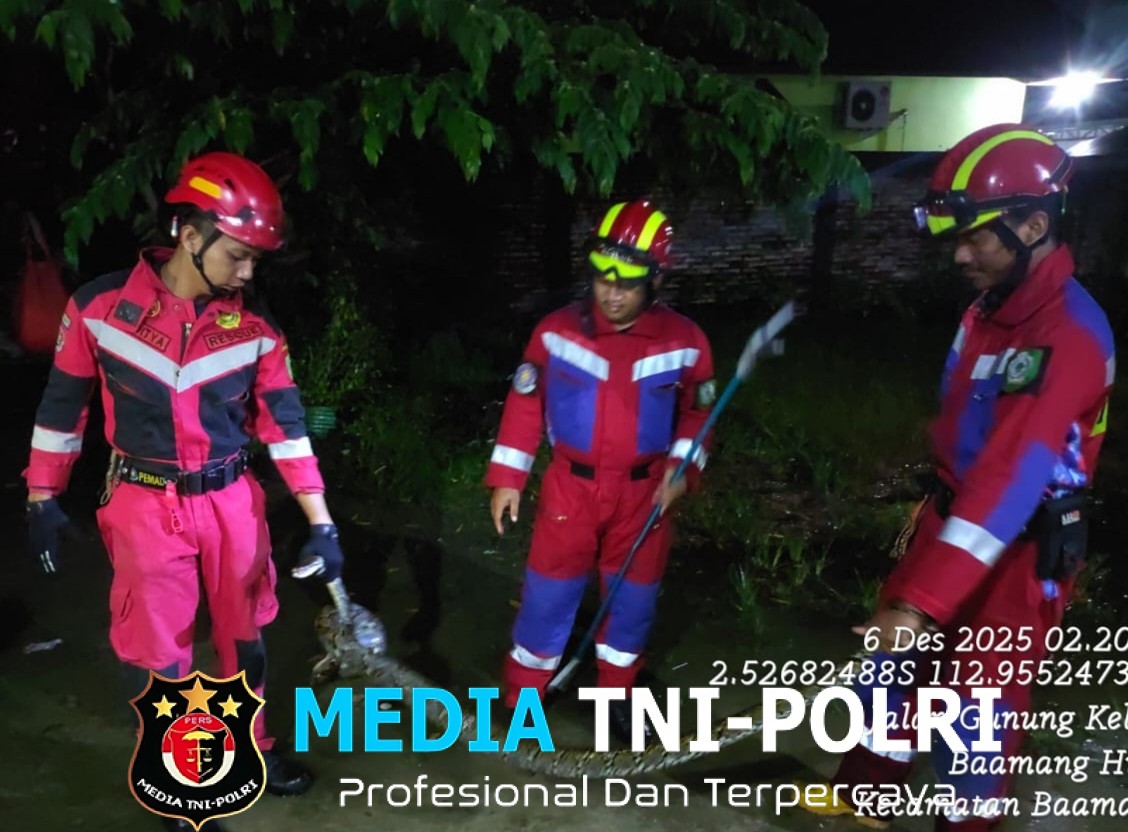 Damkar Kotim Evakuasi Ular di Dalam Kandang Ayam