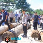 Kapolda Lampung Pantau Langsung Kapal Tongkang Kayu Diduga Ilegal Dan Ilegal Longging Di Pesisir Barat