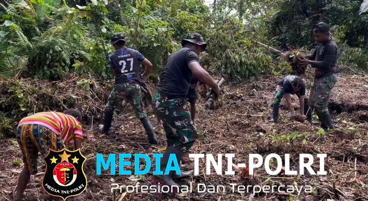 Pos Selal Satgas Yonif 751/VJS Tanam Jagung Bareng Warga Kampung Beringin Dukung Program Ketahanan Pangan Presiden RI
