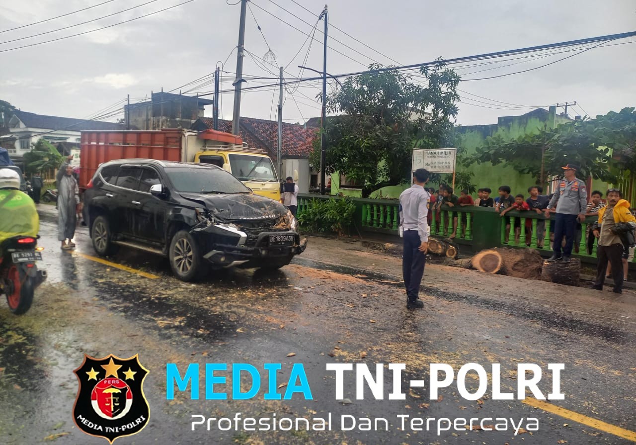 Hujan Deras Disertai Angin Kencang, Pohon Mahoni Tumbang Timpa Pajero di Gadingrejo Pringsewu