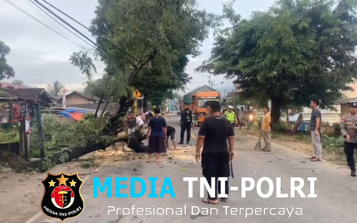 Pohon Tumbang Beruntun dan Banjir Genangi Pringsewu, Polisi Tetap Waspada!