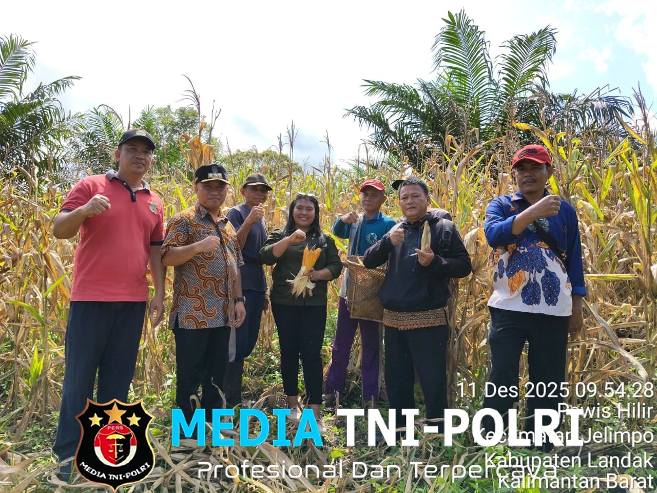 Bintara Penggerak Desa Pawis Hilir Bripka Aa Yandra Lakukan Panen Jagung 1 Desa 1 Hektar Bersama Kecamatan dan Pemdes