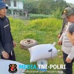 Kapolsek Mempawah Hulu Beli Jagung Petani untuk Dukung Perekonomian Masyarakat
