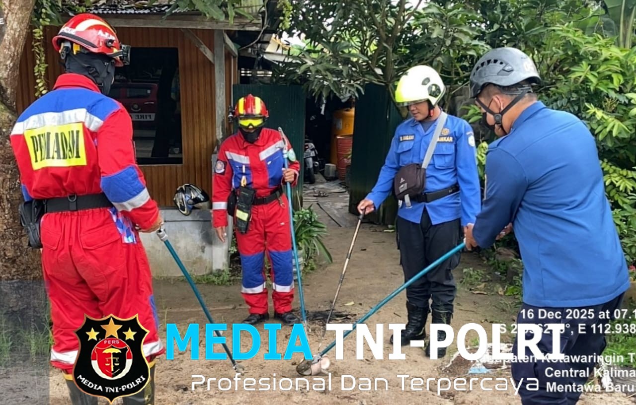Damkar Kotim Evakuasi Ular Sanca Batik di Tumpukan Barang Bekas