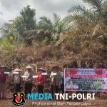 Bhabinkamtibmas Polsek Menyuke Ikuti Kegiatan Penanaman Jagung Serentak 1 Desa 1 Hektar Di Desa Bagak