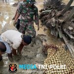 TNI Evakuasi Jenazah Korban Banjir Bandang di Ladang Sawit Warga Langkahan