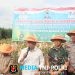 Dandim 0420/Sarko Hadiri Panen Jagung Program Swasembada Pangan Asta Cipta Presiden RI di Merangin