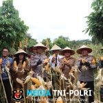 Panen Raya Serentak Kuartal IV Digelar di Desa Bejarum Kota Besi, Kapolres Kotim Hadir Dalam Mendukung Swasembada Pangan