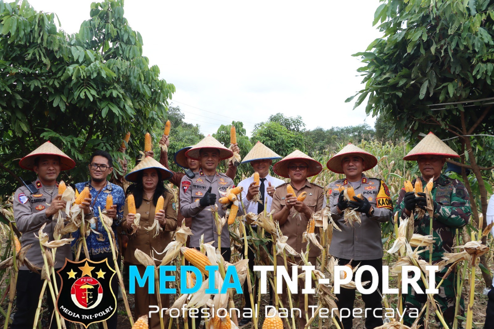 Panen Raya Serentak Kuartal IV Digelar di Desa Bejarum Kota Besi, Kapolres Kotim Hadir Dalam Mendukung Swasembada Pangan