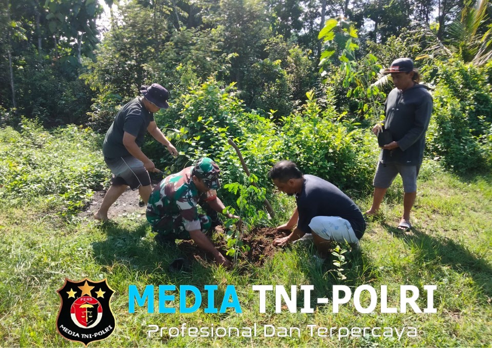 Jaga Kelestarian Lingkungan, Babinsa Gogodeso Bersama Warga Tanam Pohon Keras