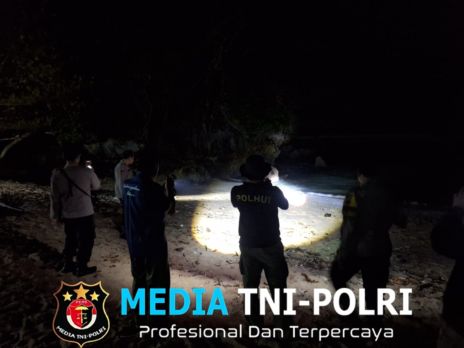 Buaya Muncul di Pantai Ngliyep, Polisi dan Tim Gabungan Lakukan Upaya Evakuasi