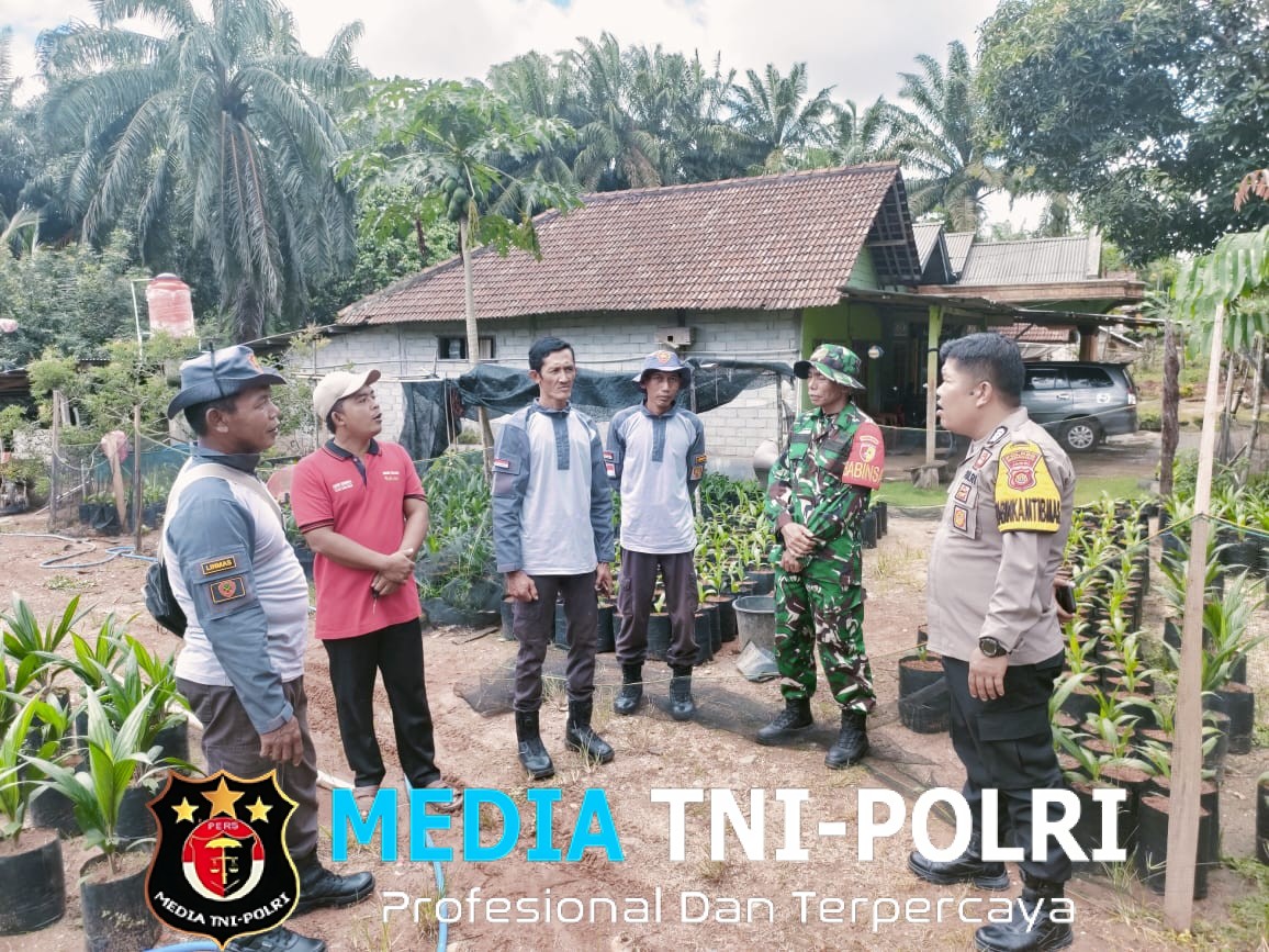 Babinsa Koramil 420-08/Tabir, Tabir Selatan, 01 Januari 2026 Dalam Rangka Mempererat Sinergi Antara Aparat Kewilayahan dan Masyarakat