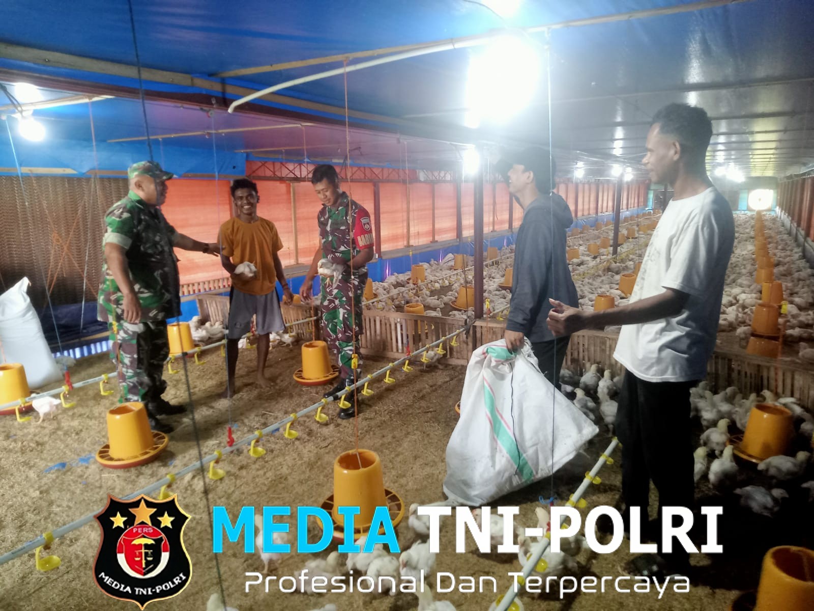 Peternak Ayam Keluhkan Harga Pakan Mahal, Babinsa Berikan Imbauan dan Dukungan