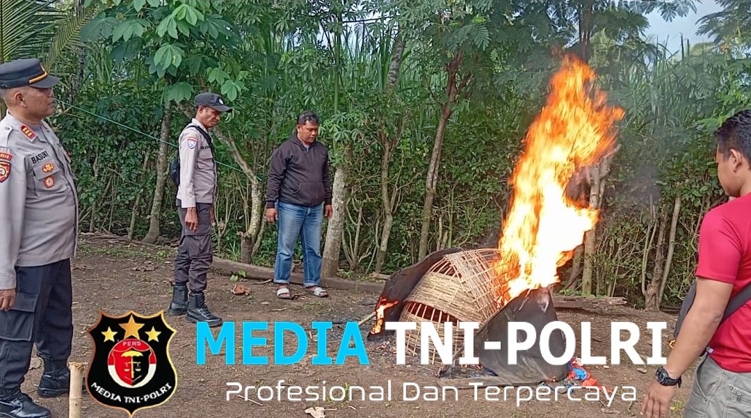 Awal Tahun 2026, Polisi Musnahkan Arena Judi Sabung Ayam di Kalipare Malang