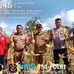 Bhabinkamtibmas Hadiri Panen Perdana Tanaman Jagung Di Desa Songga