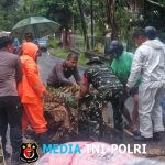 Bantu Tangani Pohon Tumbang Yang Menutupi Akses Jalan Utama, Koramil 1310-04/Dimembe Gerak Cepat