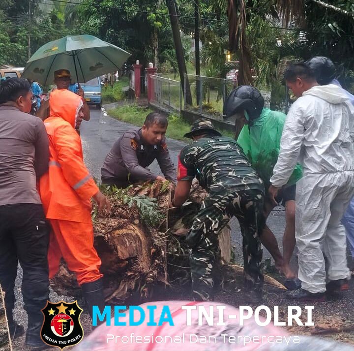 Bantu Tangani Pohon Tumbang Yang Menutupi Akses Jalan Utama, Koramil 1310-04/Dimembe Gerak Cepat