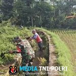 Bersihkan Saluran Irigasi Sawah, Sertu Yudha Gotong Royong Bersama Warga Desa Ngreco