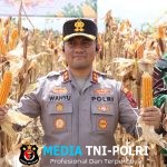 Polres Wonogiri Bersinergi Gelar Panen Raya Jagung Serentak di Sidoharjo