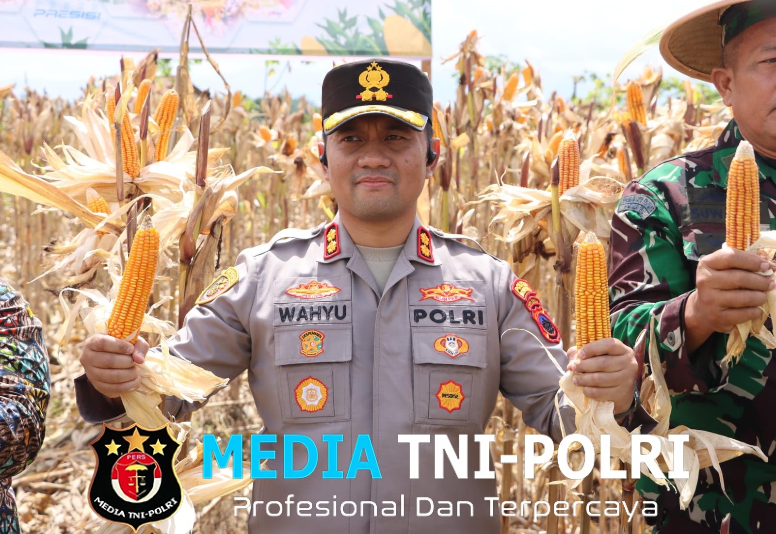 Polres Wonogiri Bersinergi Gelar Panen Raya Jagung Serentak di Sidoharjo