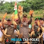 Bulog Siap Beli Rp 6.400 Perkilogram, Wabup A. Khafidh dan Kapolres Panen Jagung di Rantau Alai