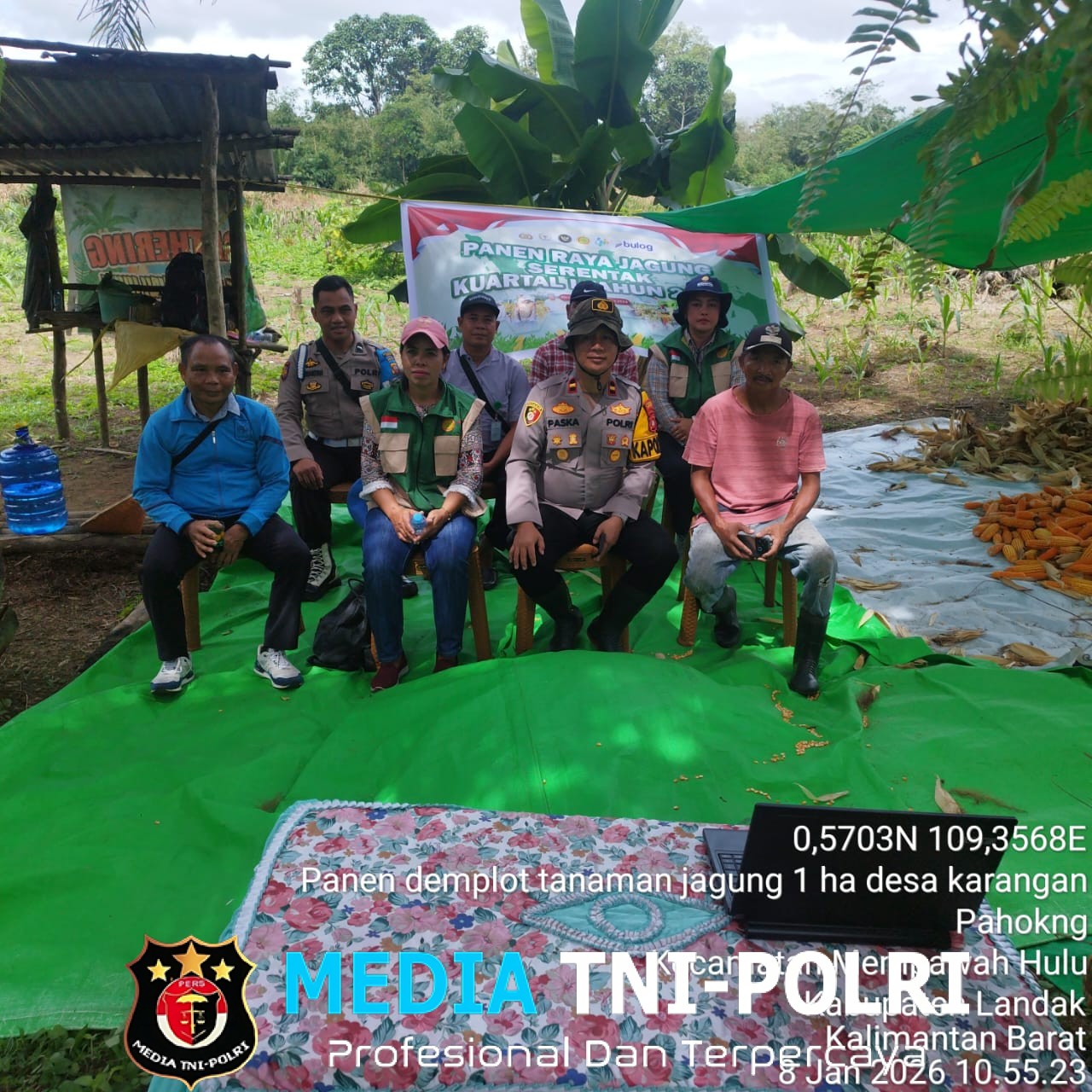 Panen Raya Jagung Serentak Kuartal 1 Tahun 2026