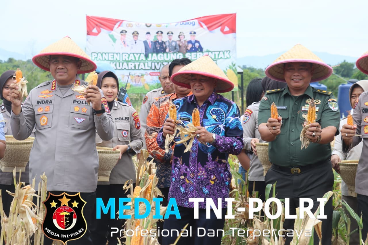 Panen Jagung di Bantar Panjang Buktikan Program Ketahanan Pangan Berjalan