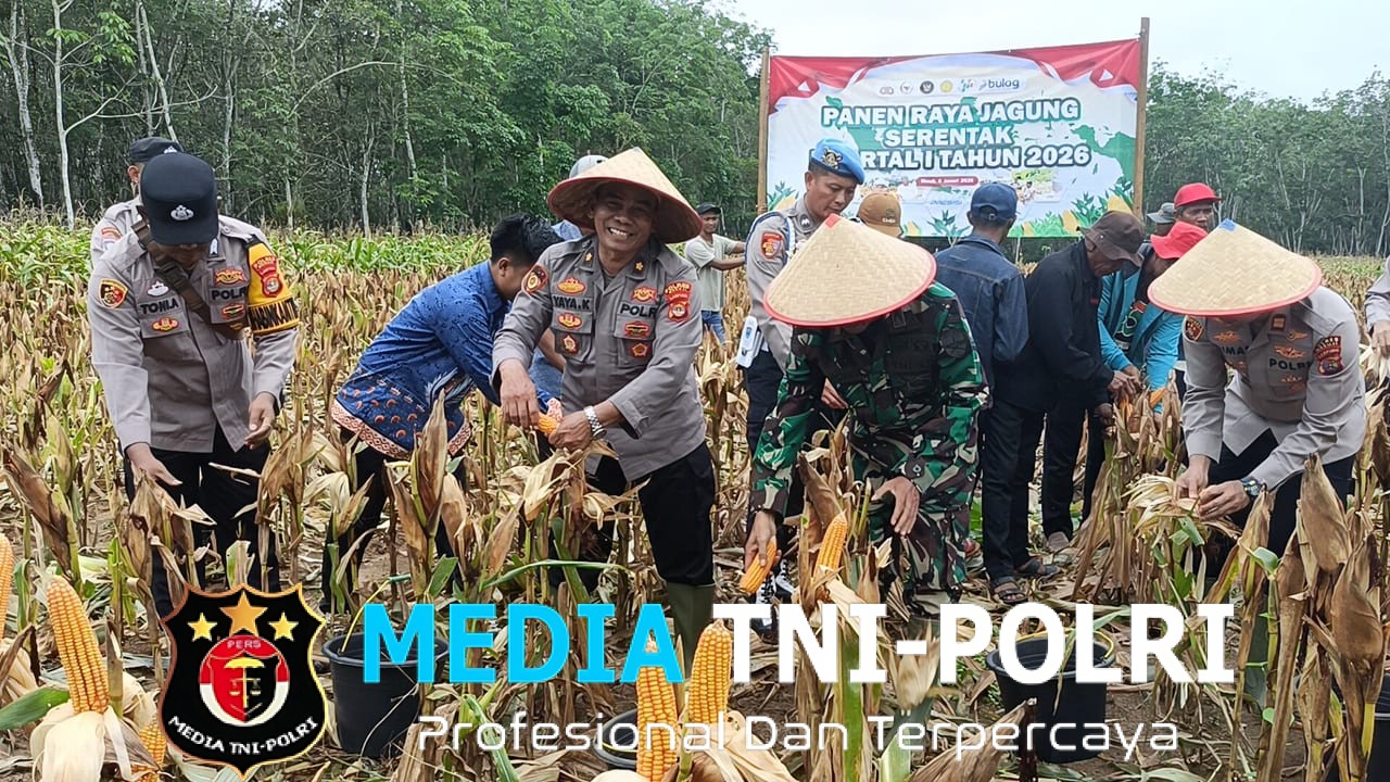 Dukung Asta Cita Prabowo, Polres Mesuji Gelar Panen Raya Jagung Serentak di Way Serdang