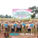 Dukung Ketahanan Pangan Nasional, Kapolres Lamtim Dampingi Kapolda Lampung Panen Raya Jagung Serentak Kuartal IV 2025