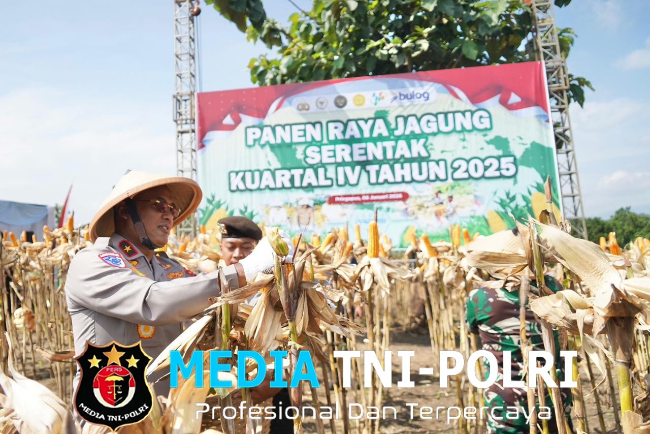 Sukseskan Ketahanan Pangan Nasional, Polda Jateng dan Petani Panen 690 Hektar Lahan Jagung di Kab. Semarang
