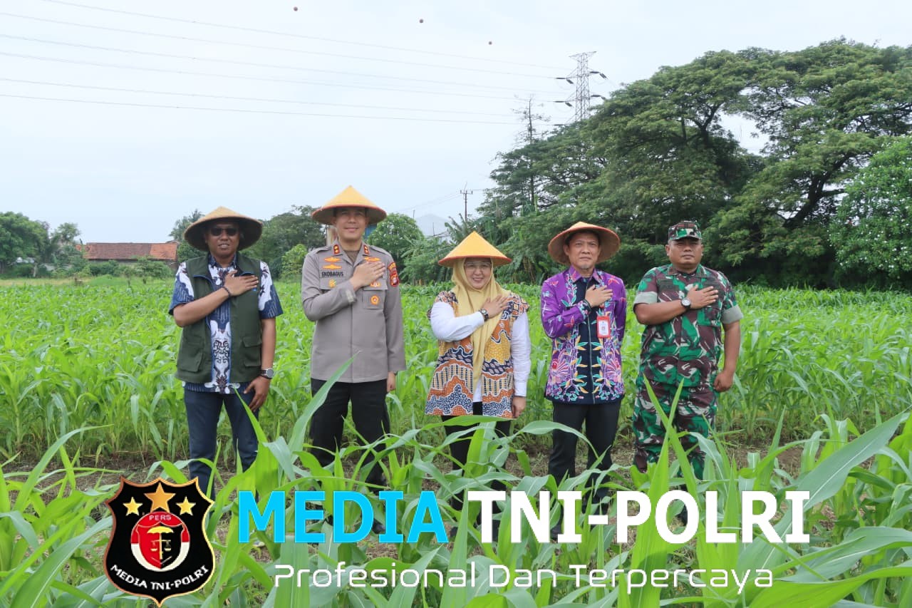 Polres Metro Tangerang Kota Dukung Swasembada Pangan Lewat Panen Raya Jagung Serentak Polri 2026