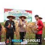 Dukung Program Nasional, Polres Landak Sukseskan Panen Raya Jagung Kuartal IV 2025