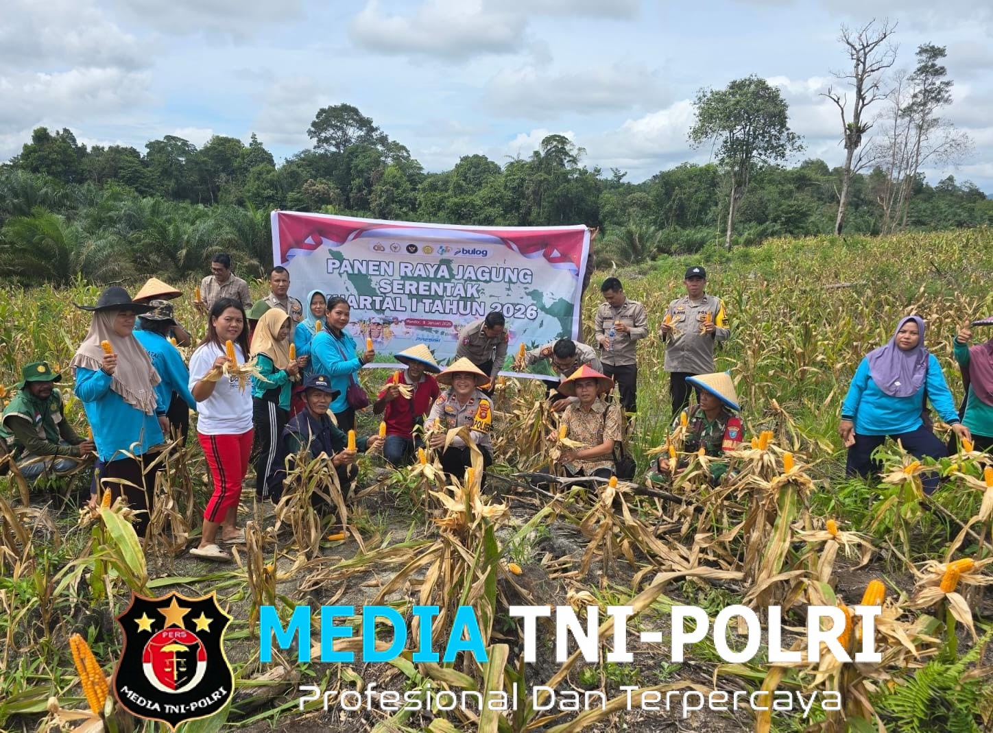 Panen Raya Jagung di Desa Mandor, Bukti Nyata Program 1 Desa 1 Hektar Berhasil